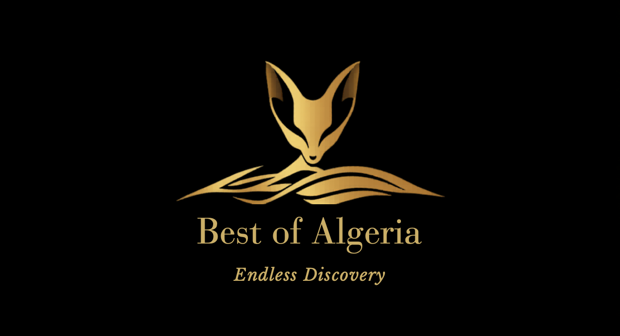 Capture decran 2026 04 08 a 10.15.13